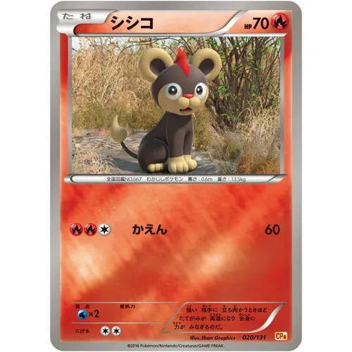 Litleo [CP4] Premium Champion Pack 020/131
