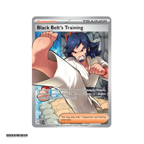 Black Belt’s Training Ascended Heroes 255/295 Ultra Rare EN